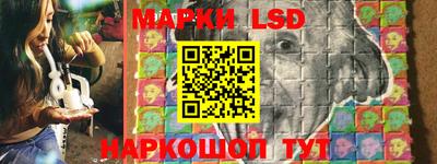 apvp Канаш