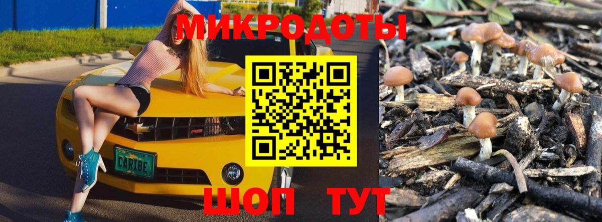 Галлюциногенные грибы мухоморы Красноярск