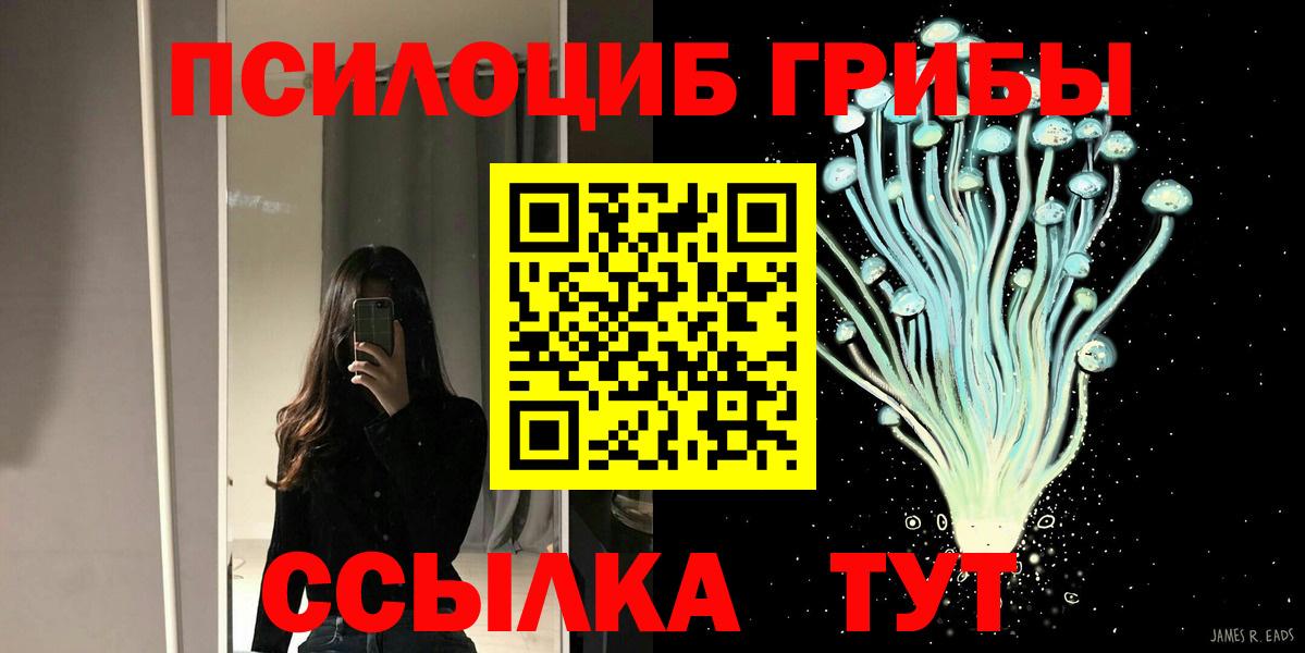 Красноярск  Псилоцибиновые грибы Magic Shrooms  Вход с VPN 